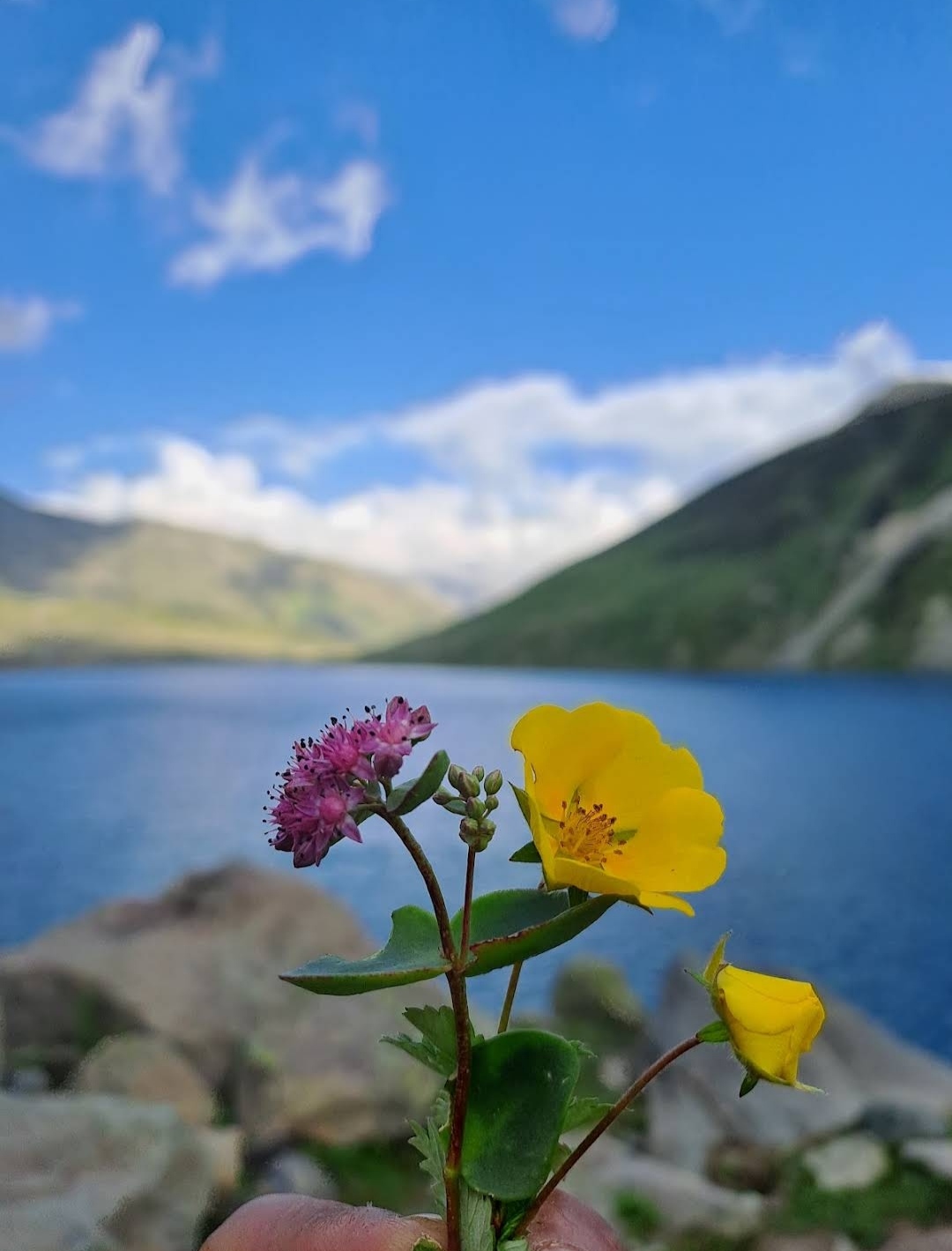 Kashmir Great Lakes Trek